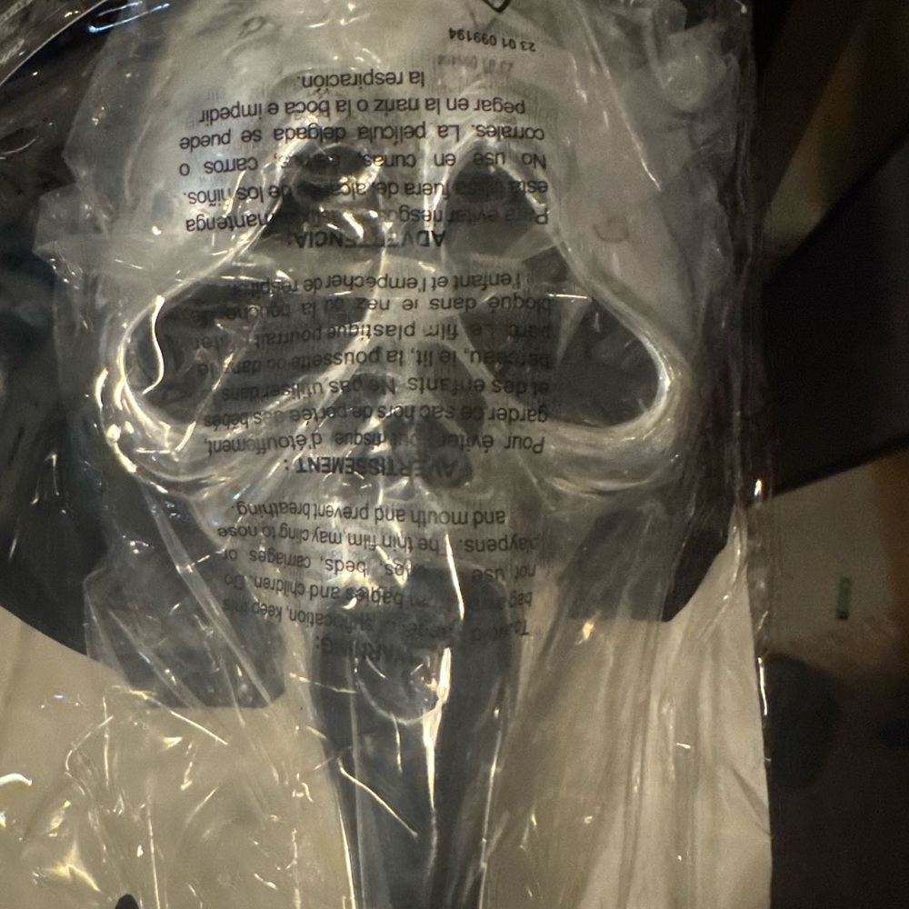 Gray Skull Face Mask